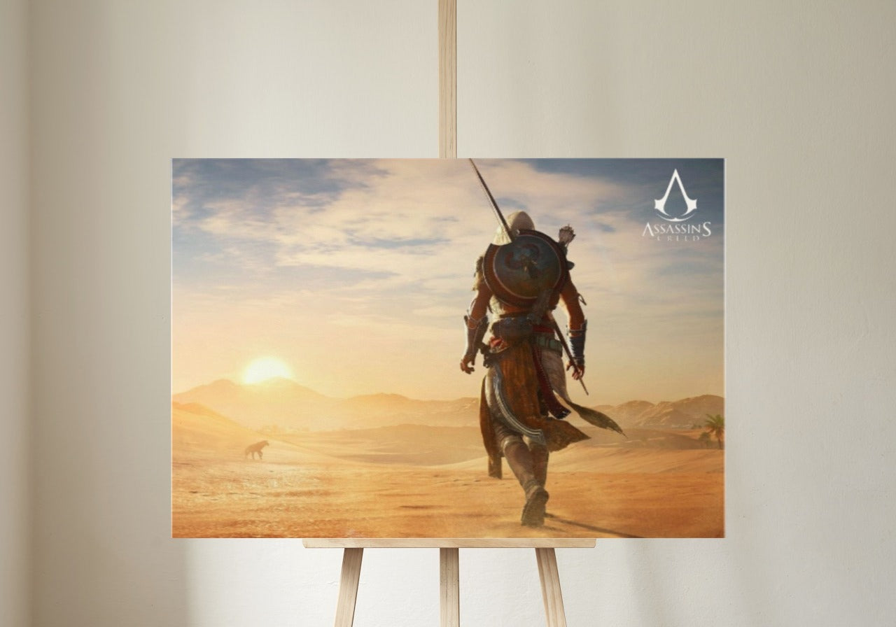 Assassins creed