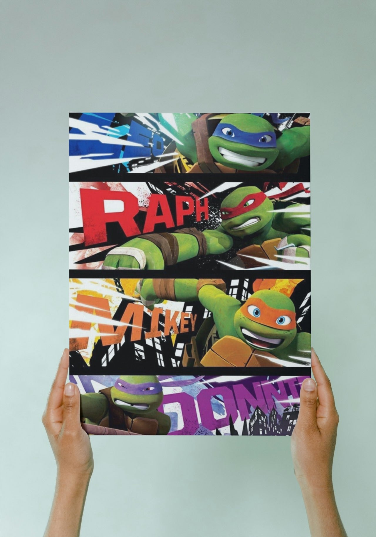 Ninja Turtle
